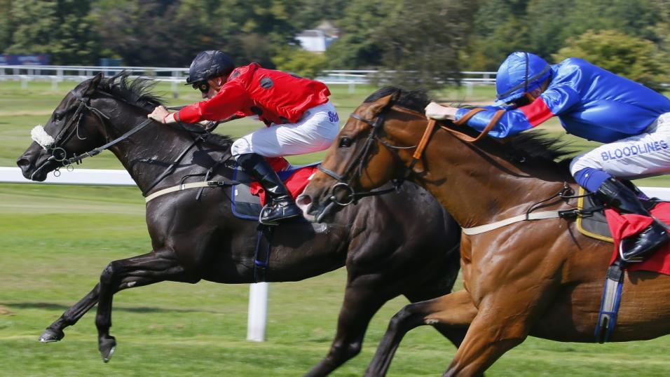 Sandown Finish